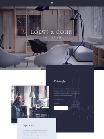 Lowws & coin wordpress theme.