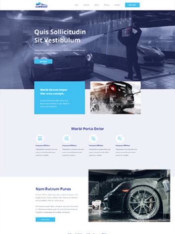 A website design for a car wash.